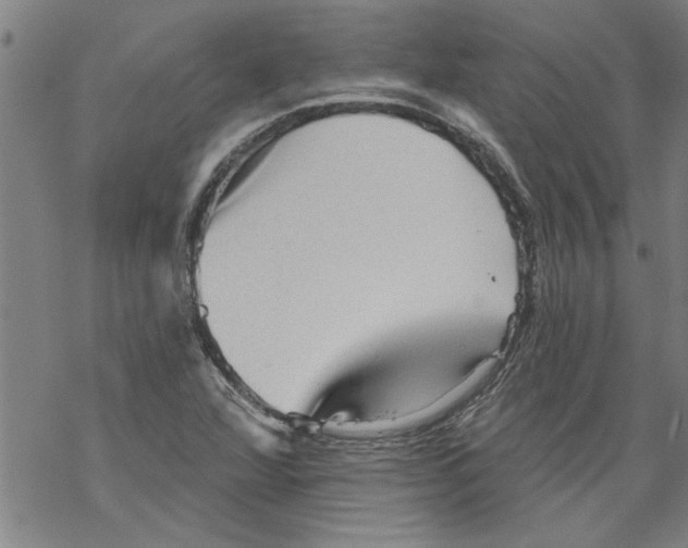 X0000067511360200605051818