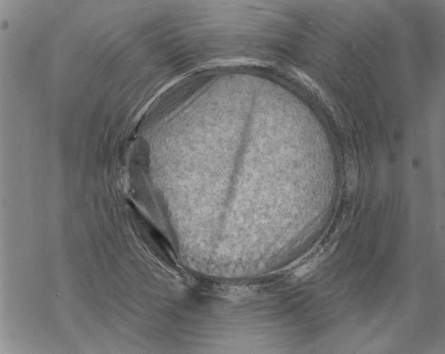 X0000067511361200605051818