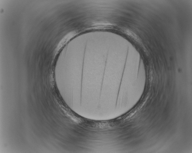 X0000067511362200605051818