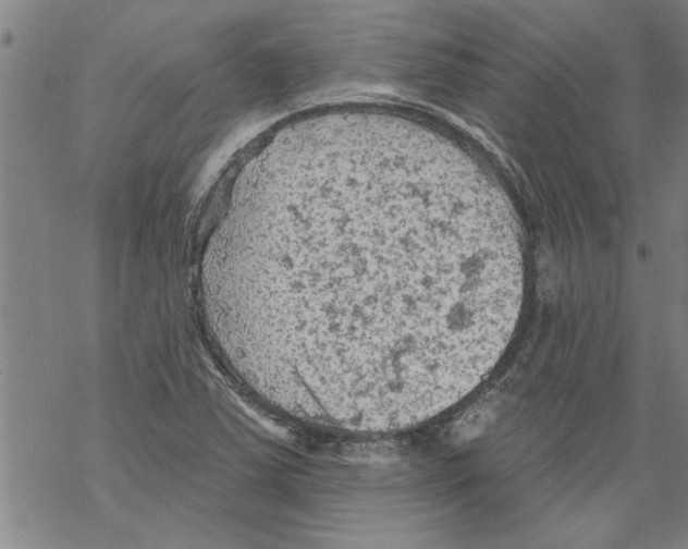 X0000067511363200605051818