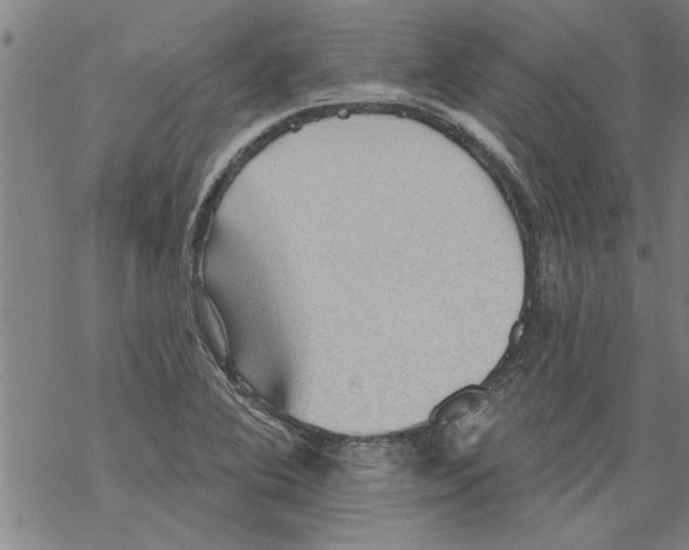 X0000067511364200605051818