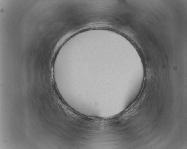 X0000067511366200605051818