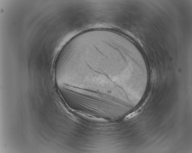 X0000067511367200605051818