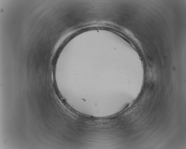 X0000067511368200605051818