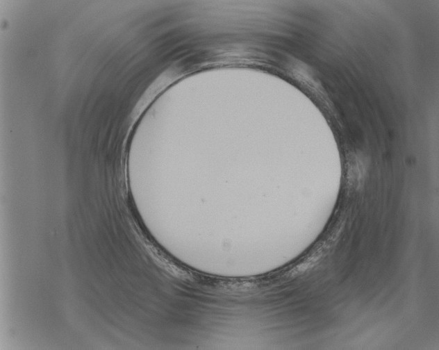 X0000067511370200605051818