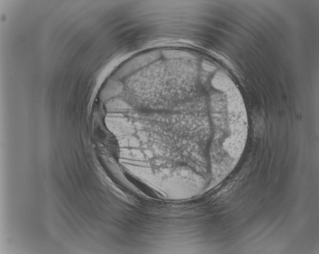 X0000067511371200605051818