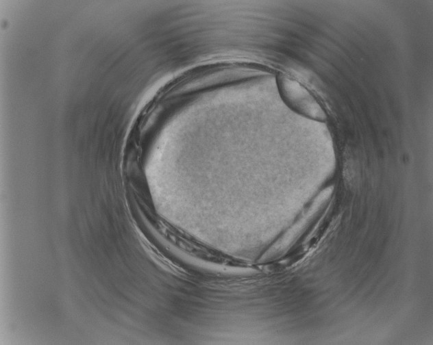 X0000067511372200605051818