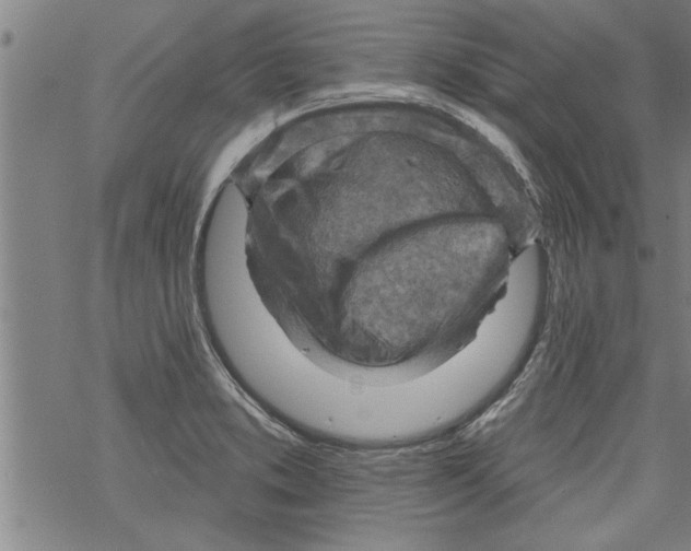 X0000067511373200605051818