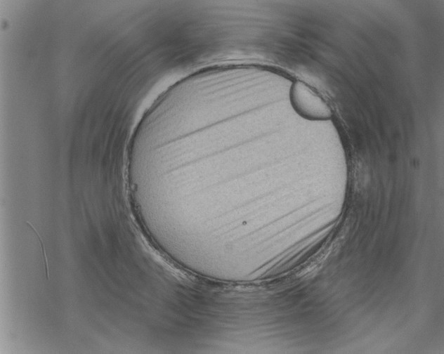 X0000067511374200605051818