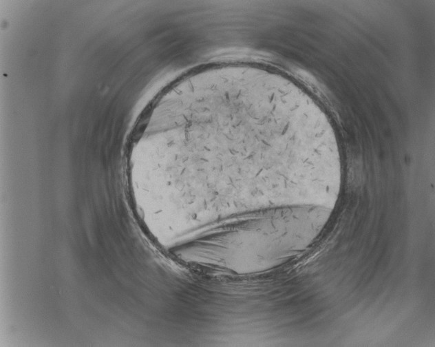 X0000067511376200605051818