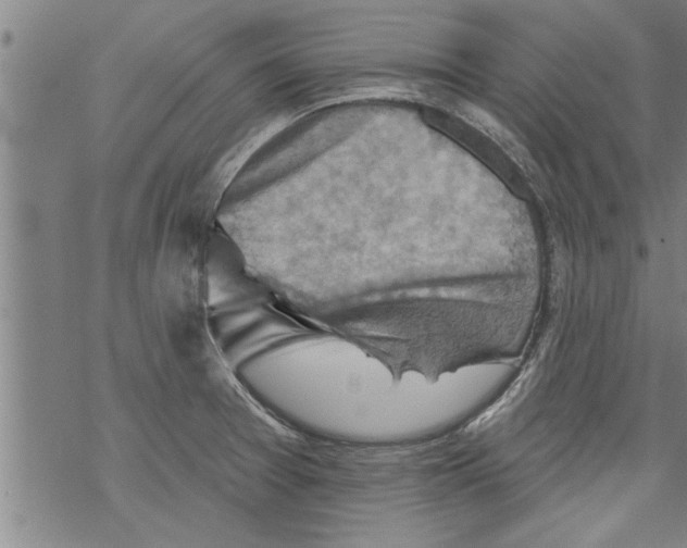 X0000067511377200605051818