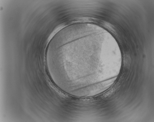 X0000067511378200605051818