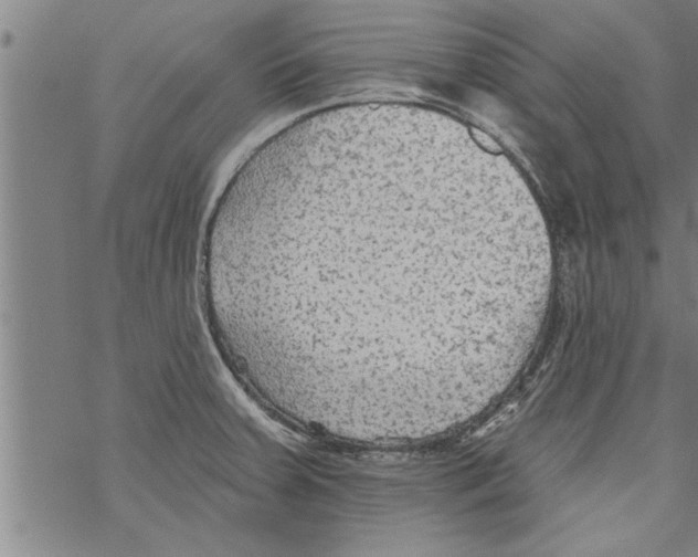 X0000067511379200605051818