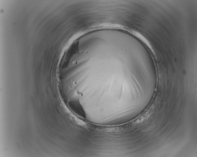 X0000067511381200605051818