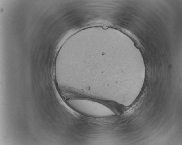 X0000067511383200605051818