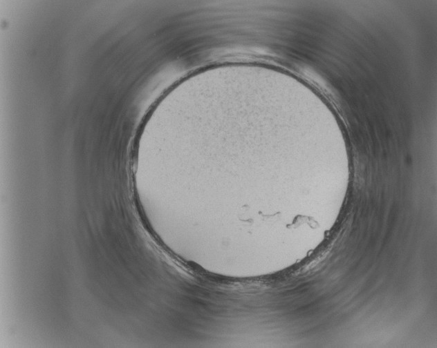 X0000067511384200605051818