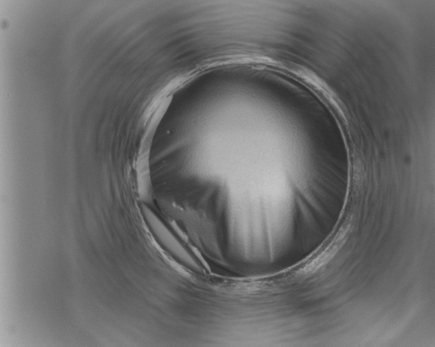 X0000067511385200605051818