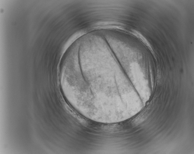 X0000067511386200605051818