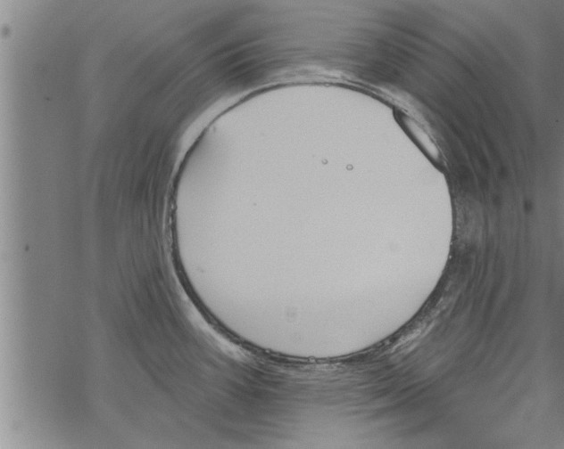 X0000067511387200605051818