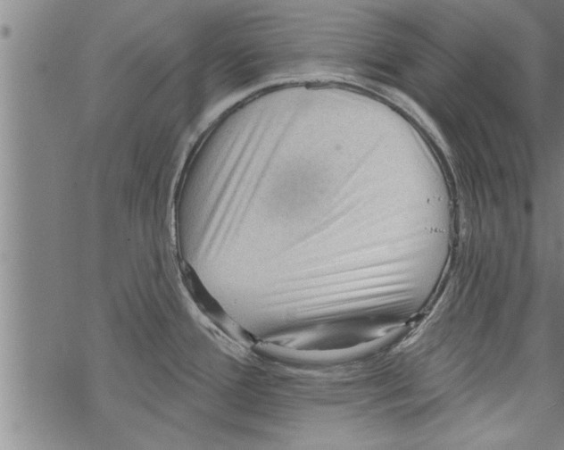 X0000067511388200605051818