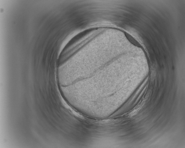 X0000067511390200605051818