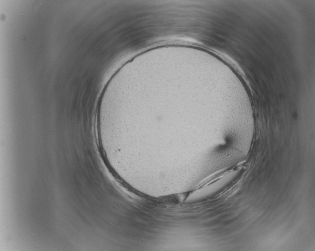 X0000067511391200605051818