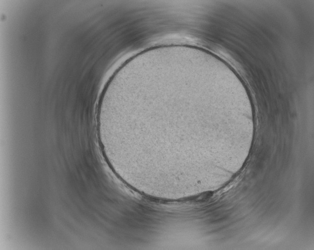 X0000067511392200605051818