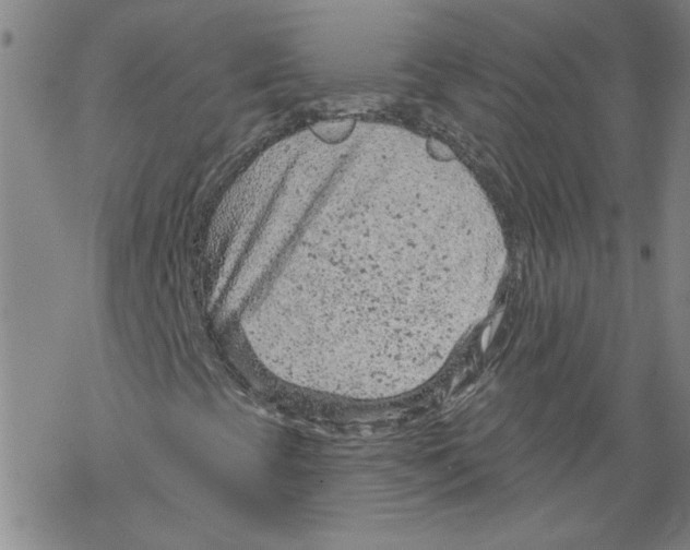 X0000067511393200605051817