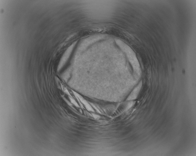 X0000067511394200605051817