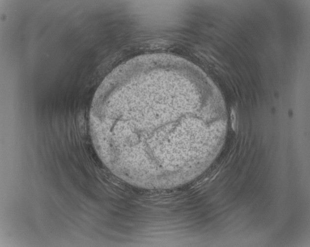 X0000067511395200605051817