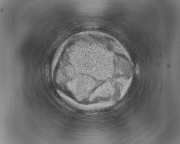 X0000067511396200605051817