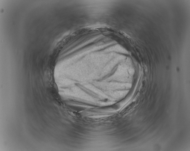 X0000067511398200605051817