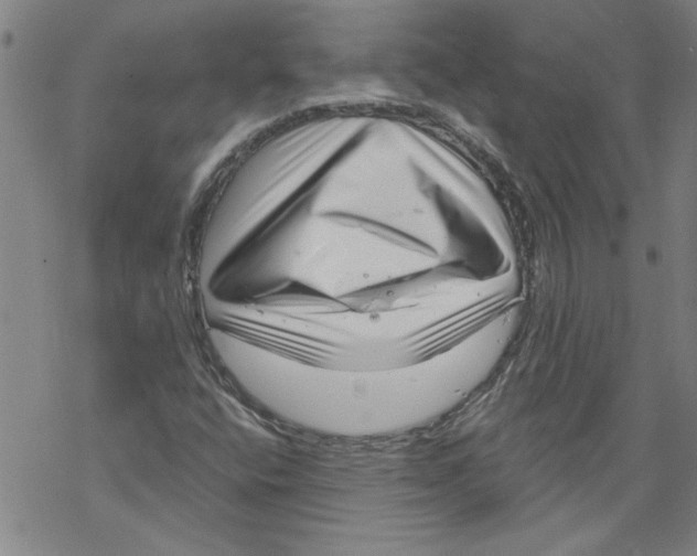 X0000067511400200605051817