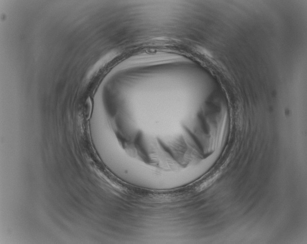 X0000067511402200605051817