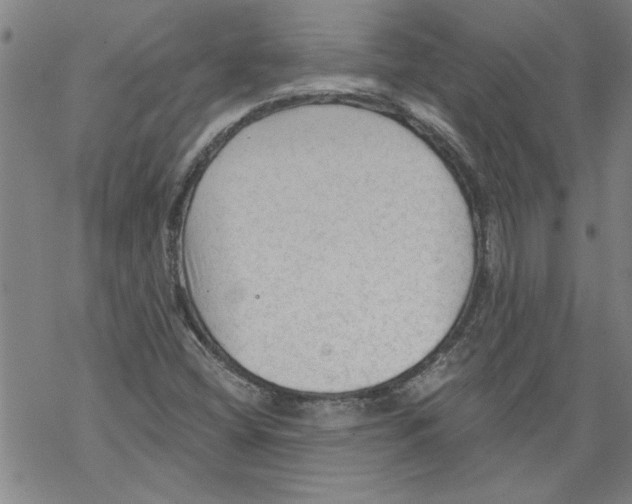 X0000067511404200605051817