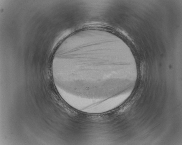 X0000067511405200605051817