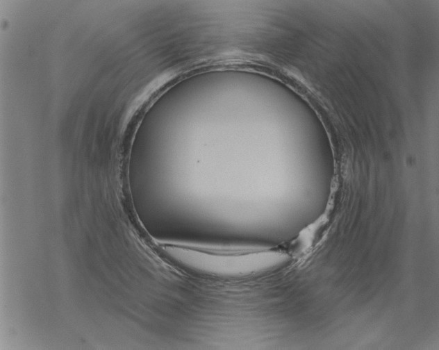 X0000067511410200605051817