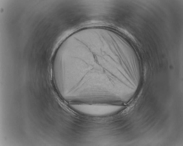 X0000067511413200605051817