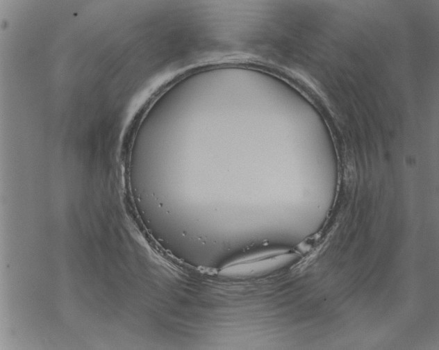 X0000067511414200605051817