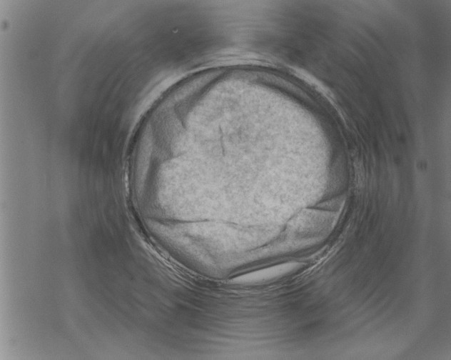 X0000067511415200605051817