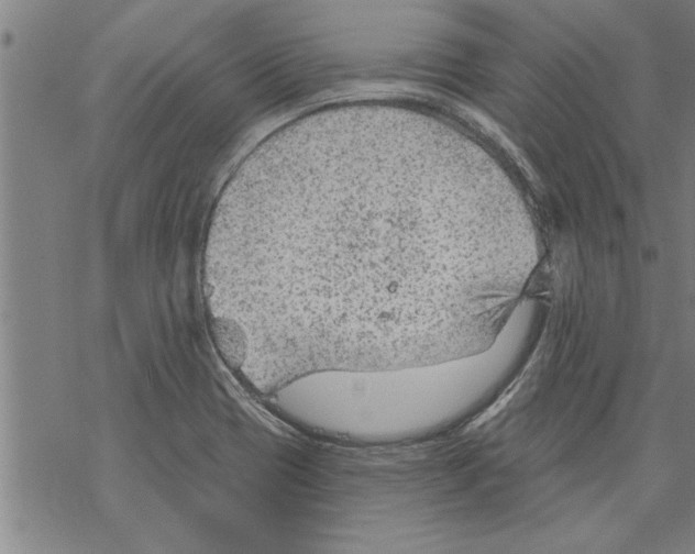 X0000067511417200605051817