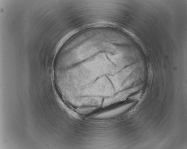 X0000067511418200605051817