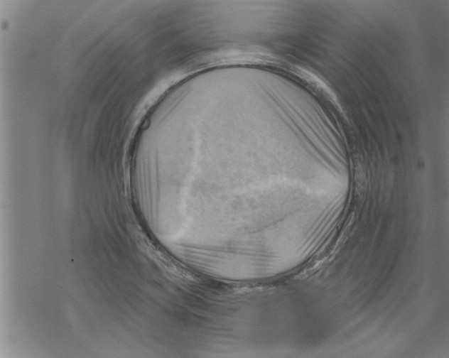 X0000067511419200605051817