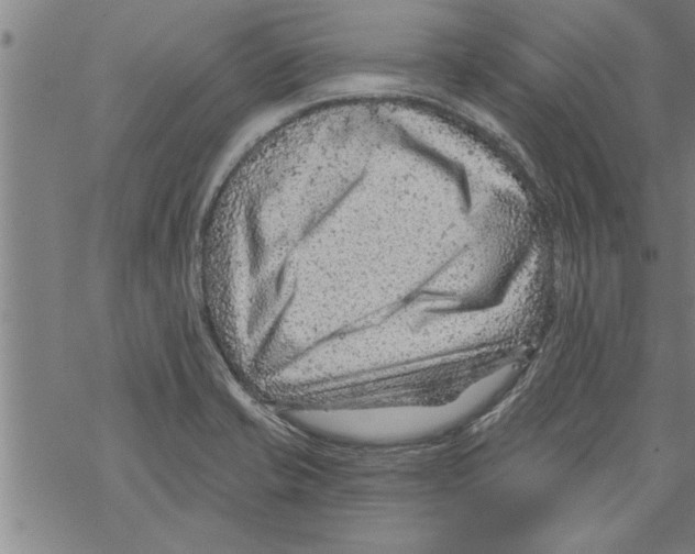 X0000067511421200605051818