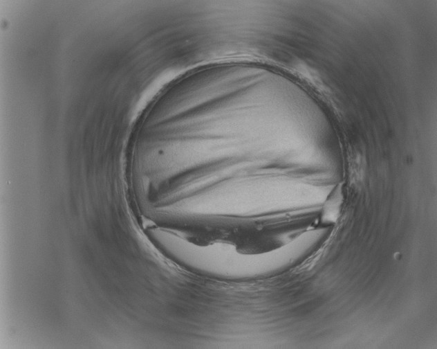 X0000067511422200605051818