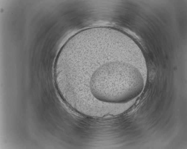 X0000067511423200605051818