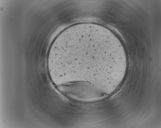 X0000067511424200605051818