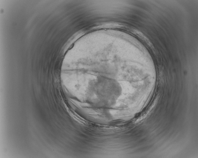 X0000067511425200605051818