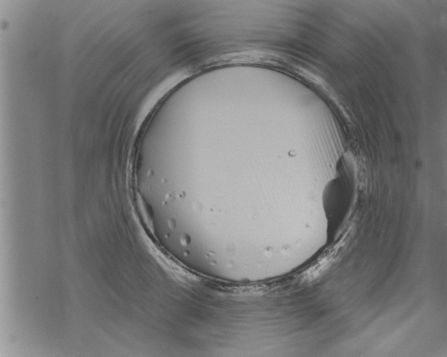 X0000067511426200605051818