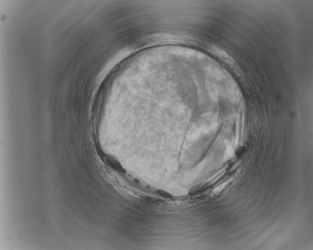 X0000067511427200605051818